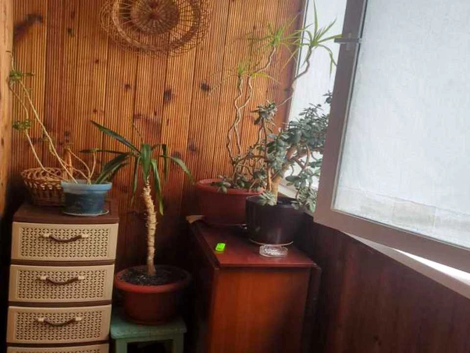 Apartment. Poltava, Bohdan Khmelnytsky Blvd.