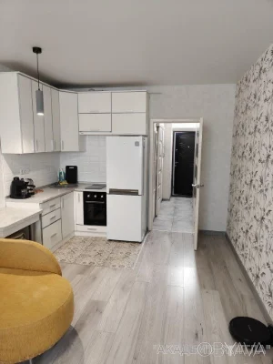 1-комнатная квартира, 27 м.кв.