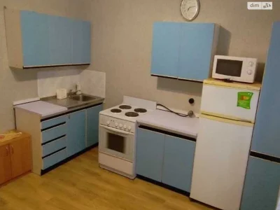 Long-Term Rental Apartment Desniansky