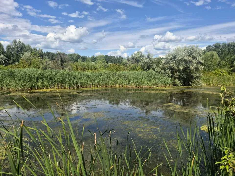 Земельна ділянка. Черкаси, вулиця Набережна