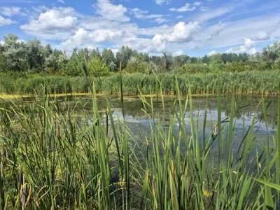 Земельна ділянка. Черкаси, вулиця Набережна