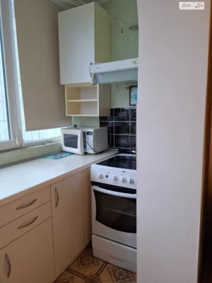 Long-Term Rent Apartment Shevchenkovsky