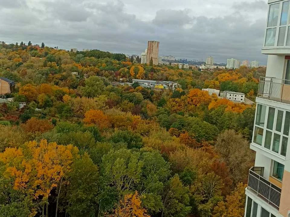 Apartment. Liso гірський proh.