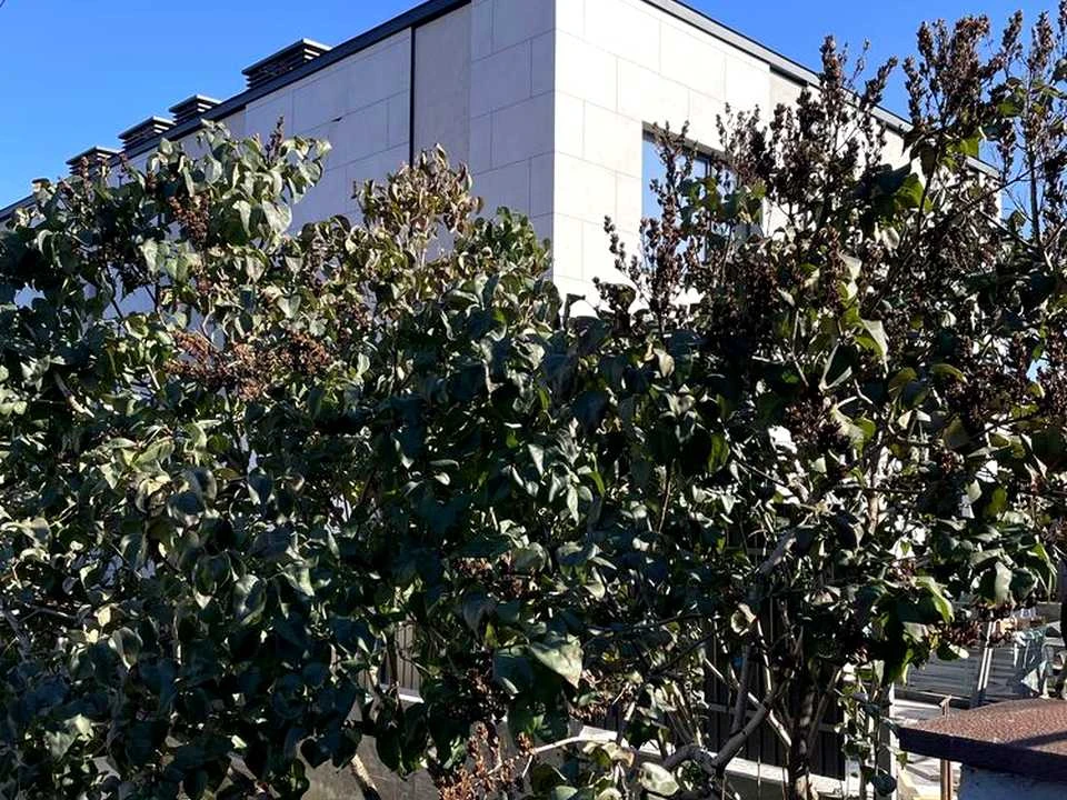 Продаж будинку. Київ, вул. Добрий Шлях