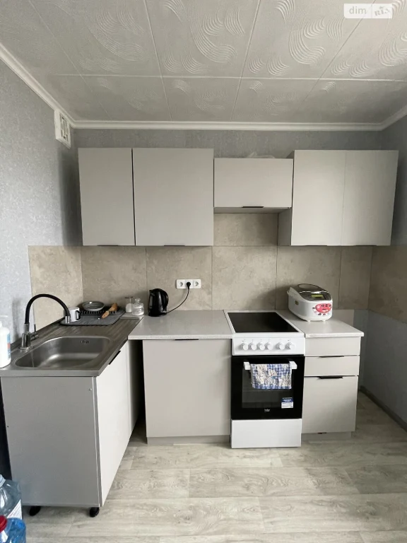 Long-Term Rental Apartment Demiivka