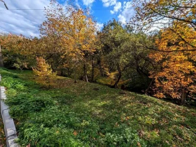 Ділянка. Львів, Малоголосківська вул.