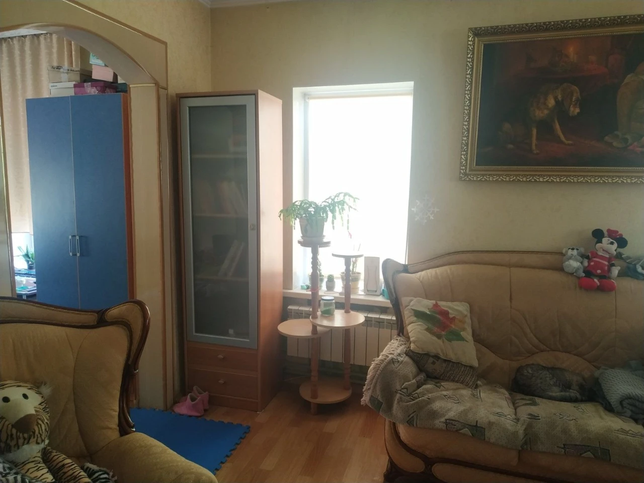 Standalone House 100 m², 7 acres, GARAGE, MUST solar inverter. Cozy