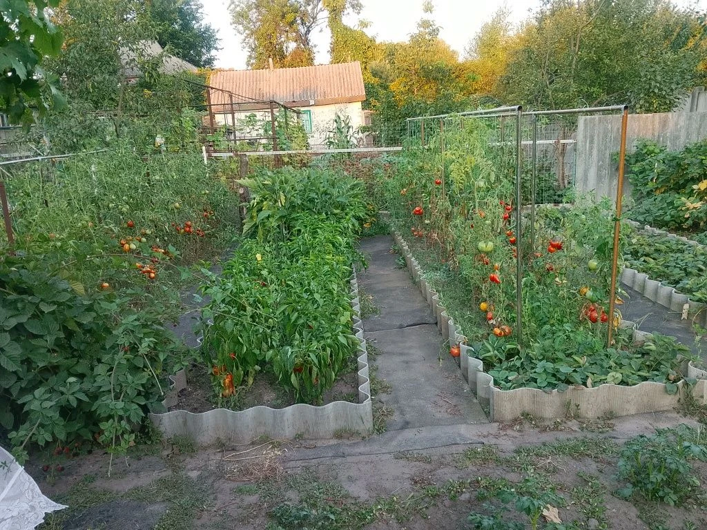 Standalone House 100 m², 7 acres, GARAGE, MUST solar inverter. Cozy