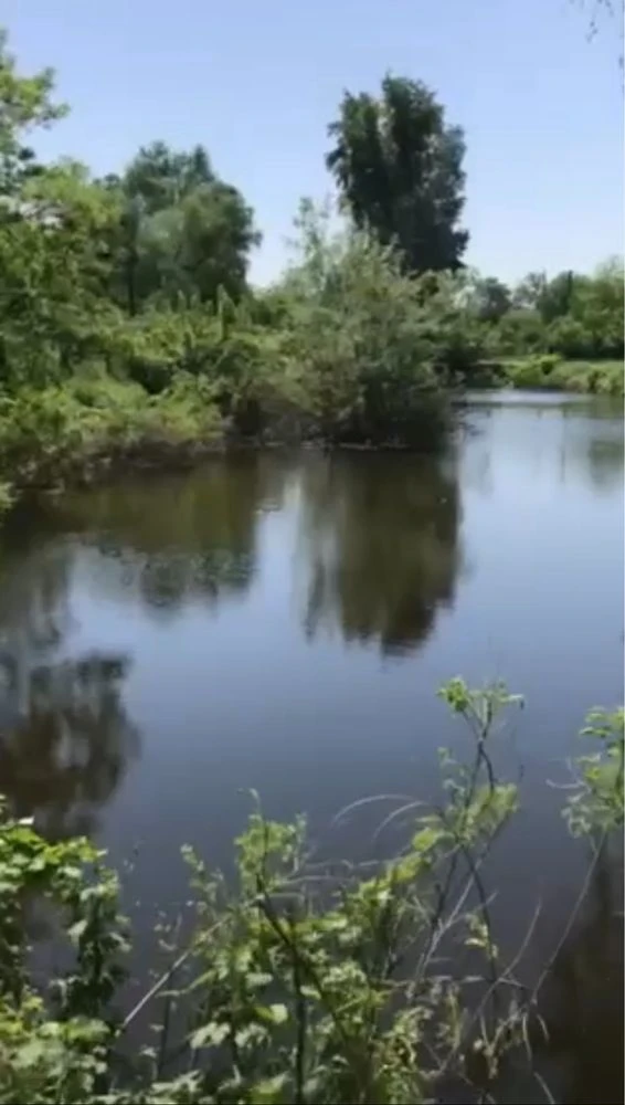 Срочно. Продам будинок з ділянкою