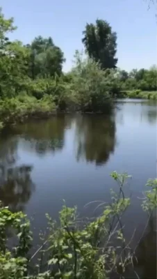 Срочно. Продам будинок з ділянкою