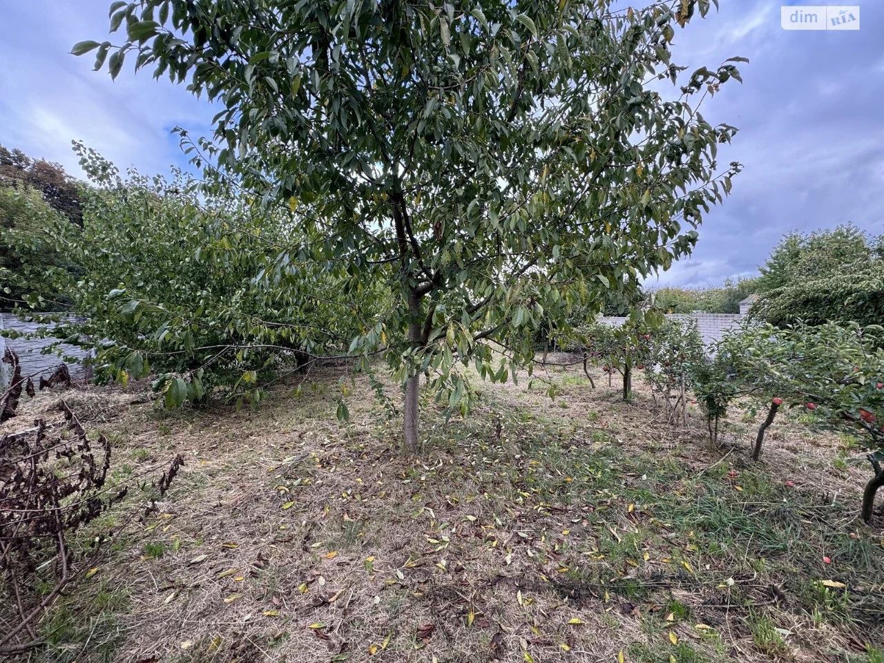 Продажа земли сельскохозяйственного назначения, Гниванское ш