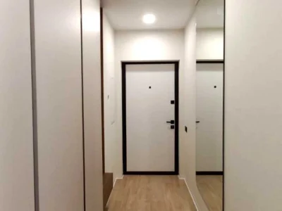 Apartment. Salutna st., Kyiv