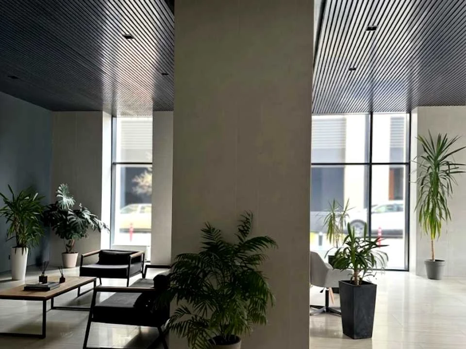 Apartment. Zarychna st.