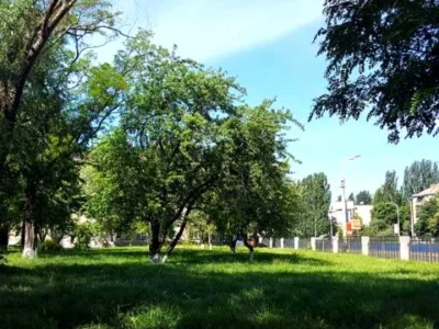 Квартира. Киев, улица Академика Шалимова