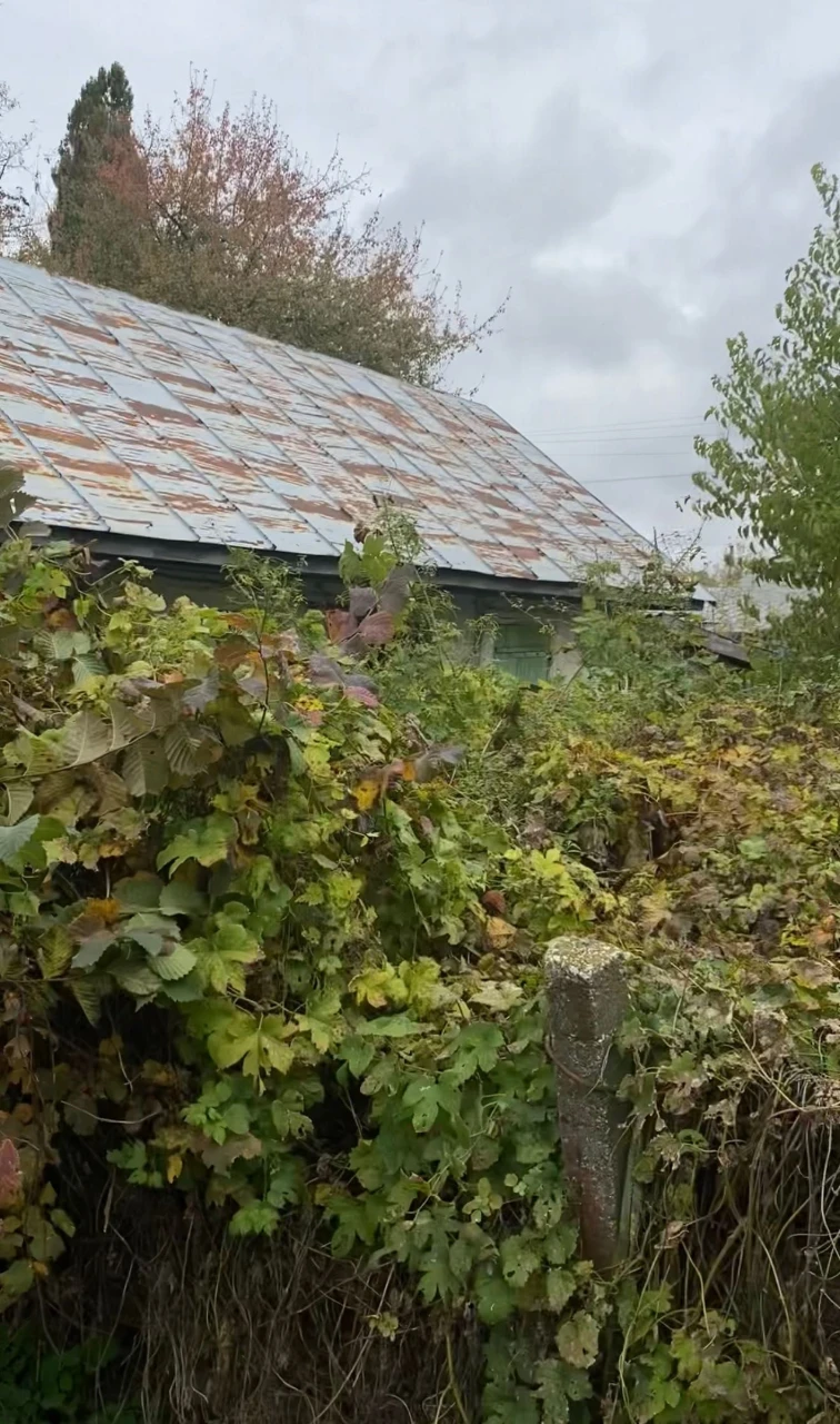 Продам будинок село Плоске біля Ніжина
