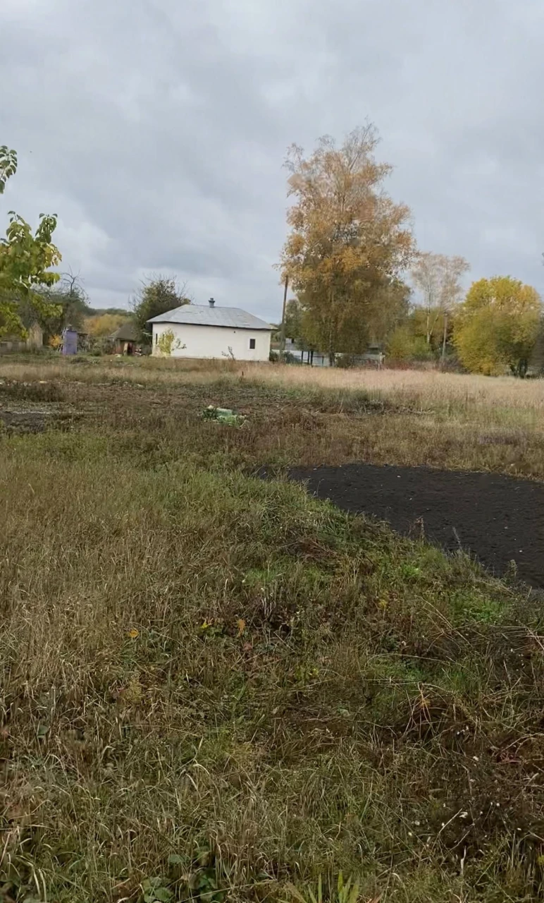 Продам будинок село Плоске біля Ніжина