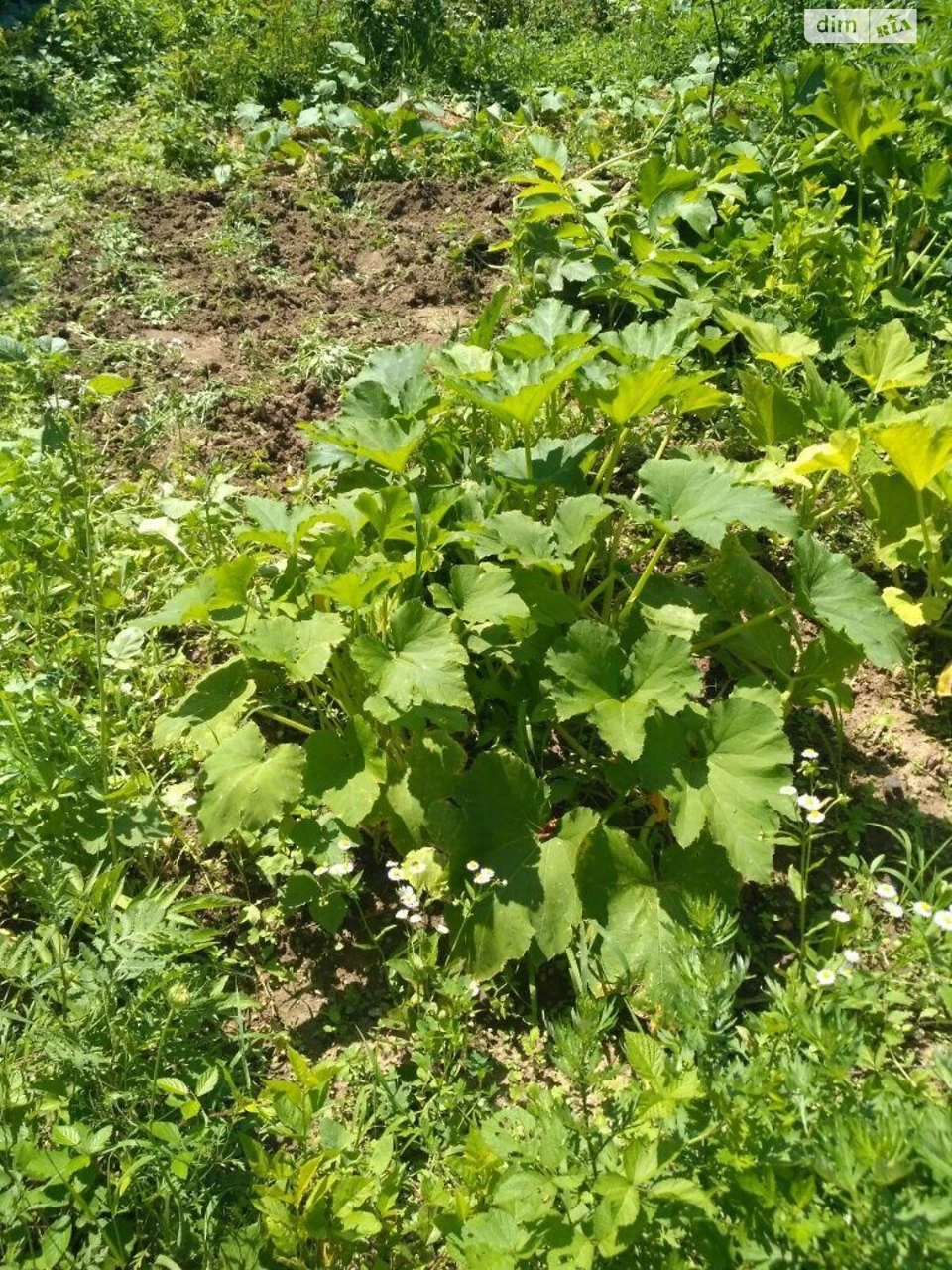 Продаж Дім Горяни