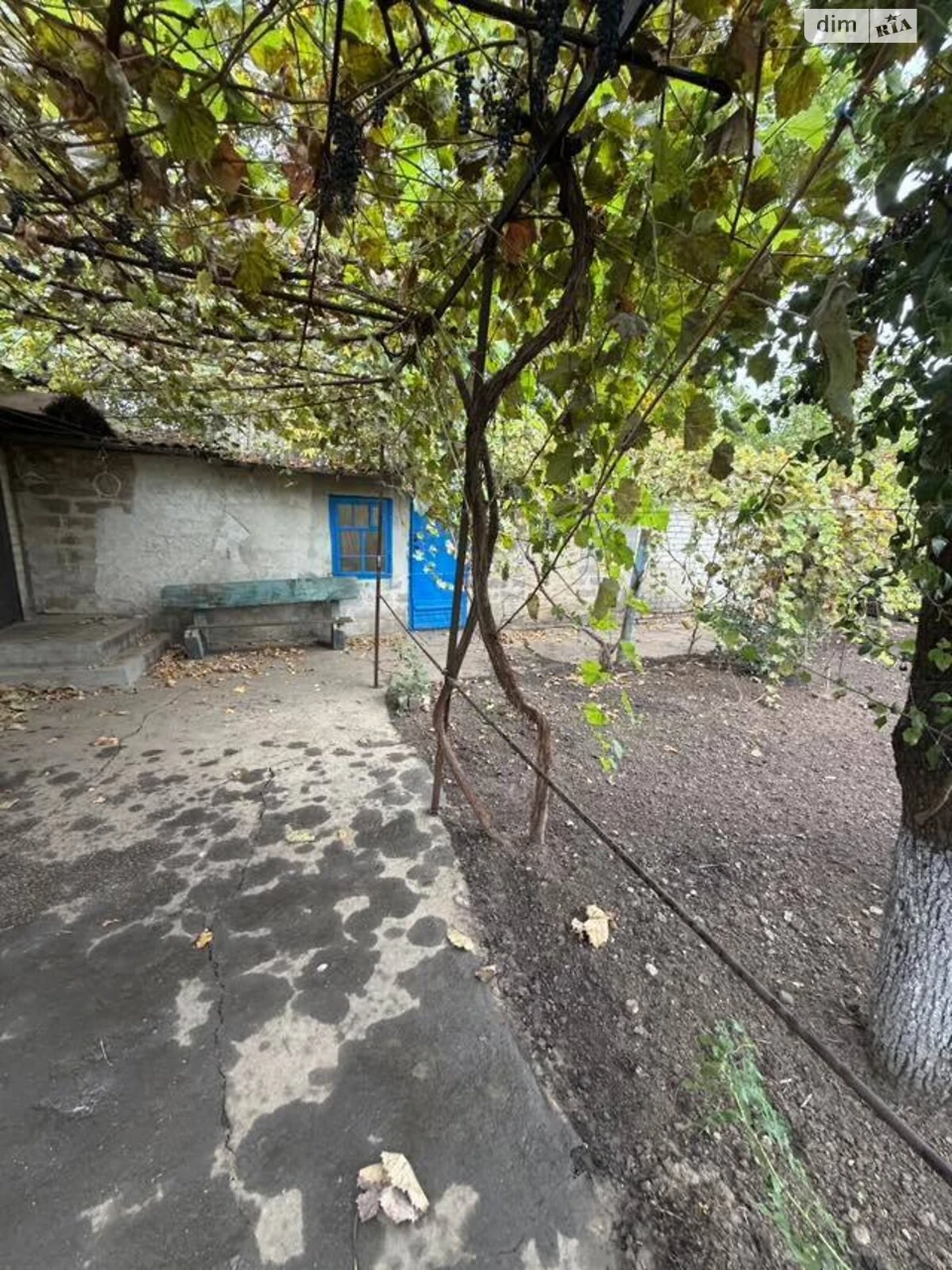 Sale of House in Borodinsky