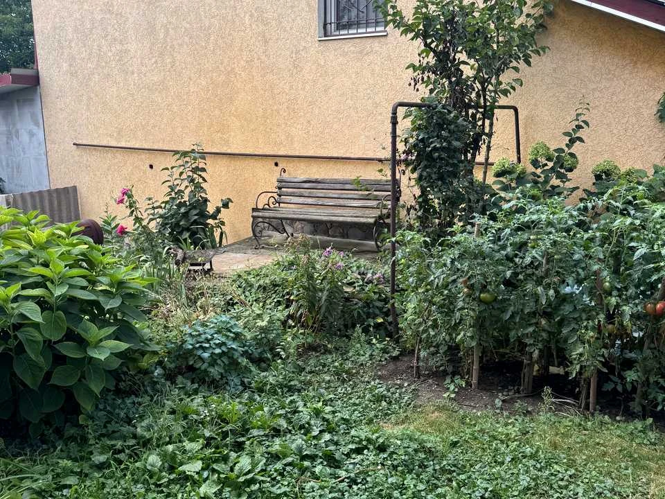Квартира. Черновцы, Буковинская улица.