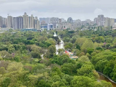 Квартира. Одеса, Шевченка проспект.