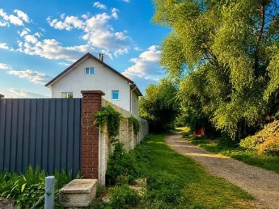 Rent Cottage 195 sq m, Svetitscheskaya St.