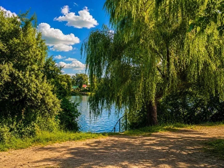 Rent Cottage 195 sq m, Svetitscheskaya St.