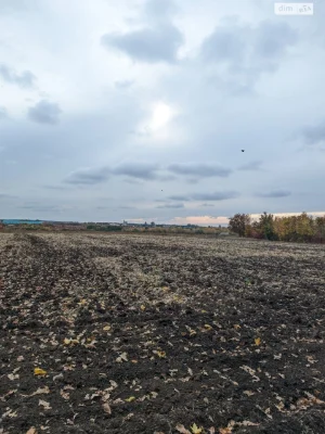 Продажа земельного участка под сельскохозяйственным назначением
