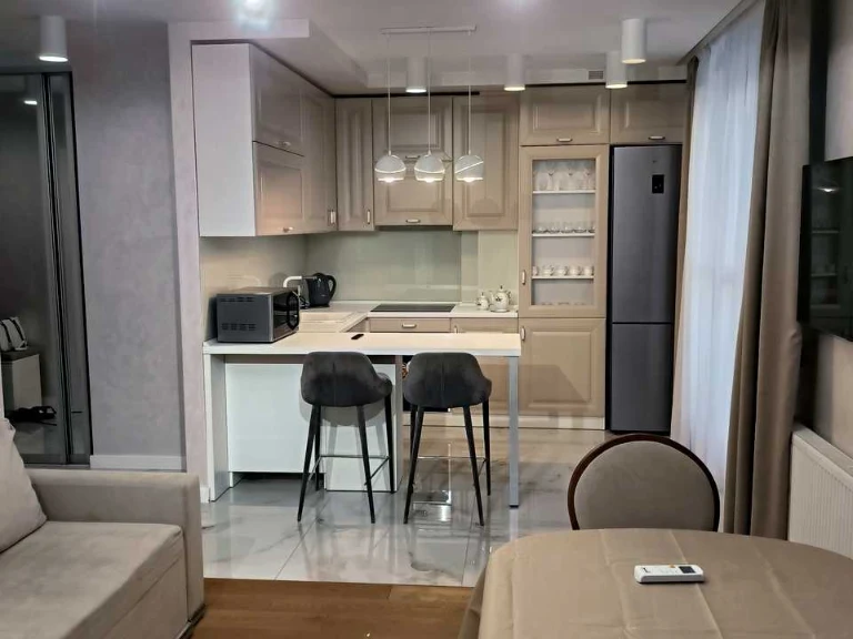 Apartment. Volodymyr Veliky Street, Lviv