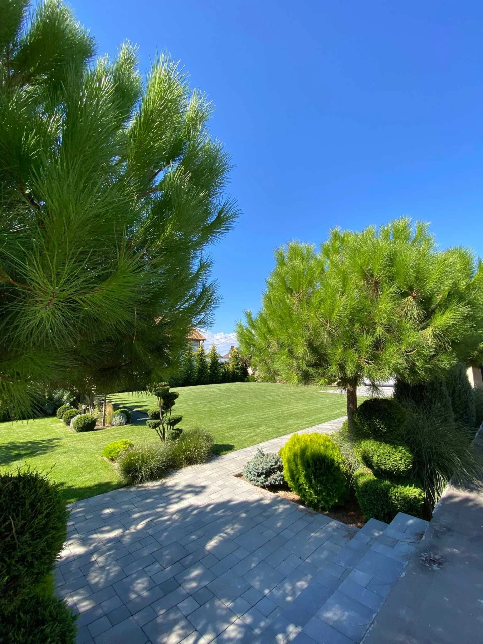 For Sale House in Tiyrova, Zolotaya Gorka 289 m² 15 acres