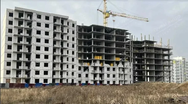 Peliustkovyi