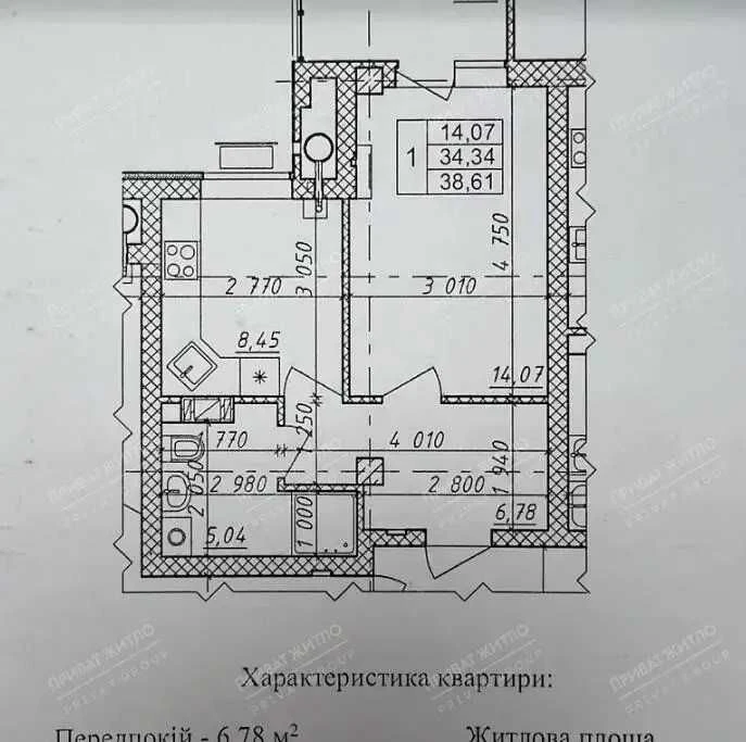 Apartment in a new residential complex "Pelustkoy"-2