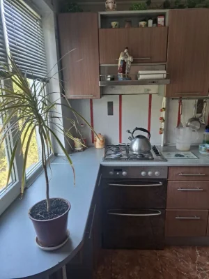 For Sale 3-bedroom apartment on Chekhov Street, 110