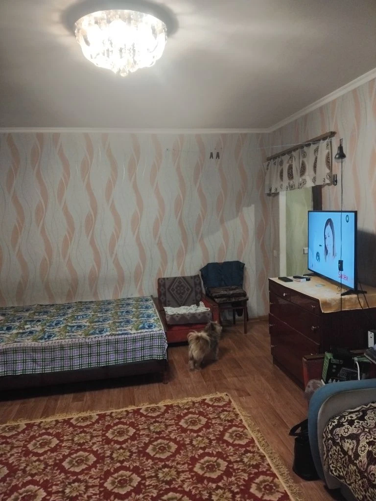 One-bedroom apartment in the area of the bus station.