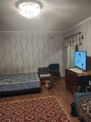 One-bedroom apartment in the area of the bus station.
