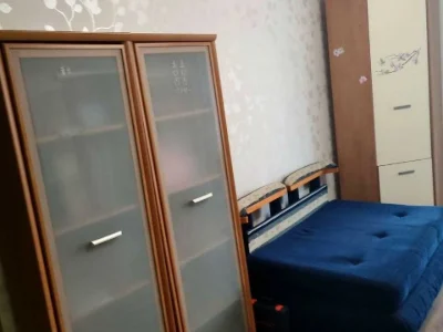 Apartment. Dnipro, Velika Diiivska st.