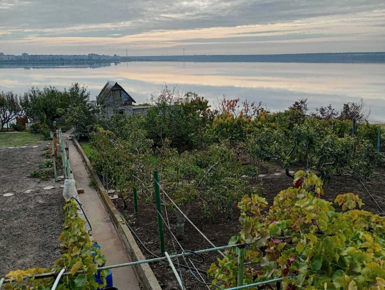 Продаю дачу (7 соток)