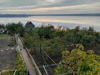 Продаю дачу (7 соток)