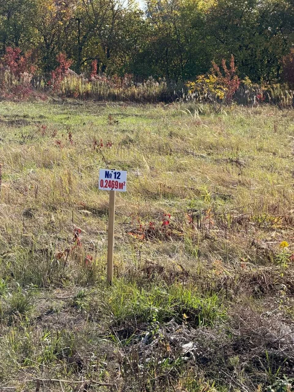 Продаж ділянки з комунікаціями | Новий Двір, Щасли