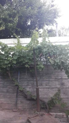 Дом в черте города, ул. Гладкова