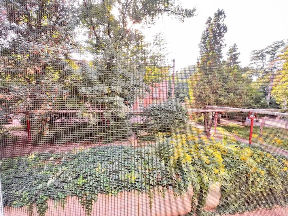 2-bedroom apartment for sale with renovation and furniture
