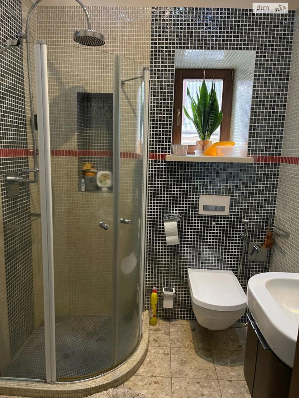 Long-Term Rental House in the Village of Шевченка
