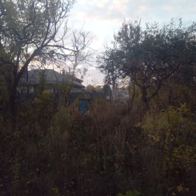 Участок по улице Берестова