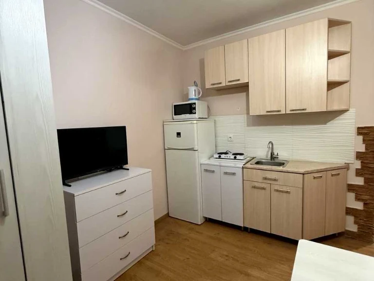 Apartment. Volodymyr Halyk Street, Lviv