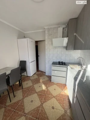 Long-Term Rental Apartment, Sychiv