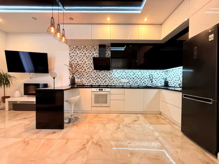 Apartment. Truskavetska st.