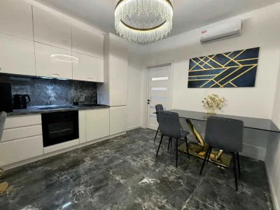 Apartment. Mikhailo Boychuk Street, Kyiv