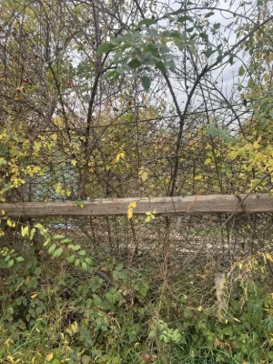 Продається участок біля Арсена