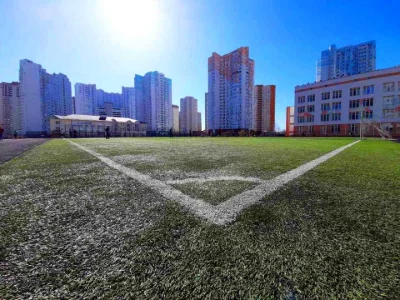 Квартира. Киев, улица Софиевской