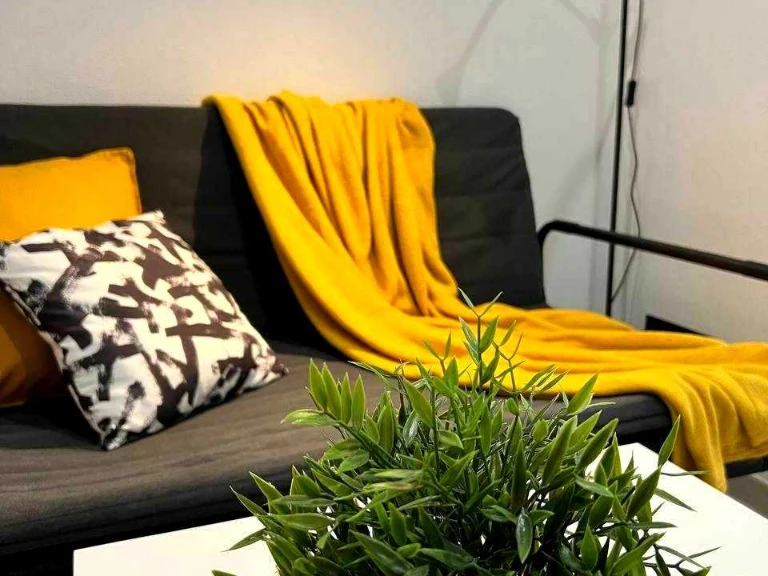 Apartment. Address: Antonovicha Avenue, Kyiv