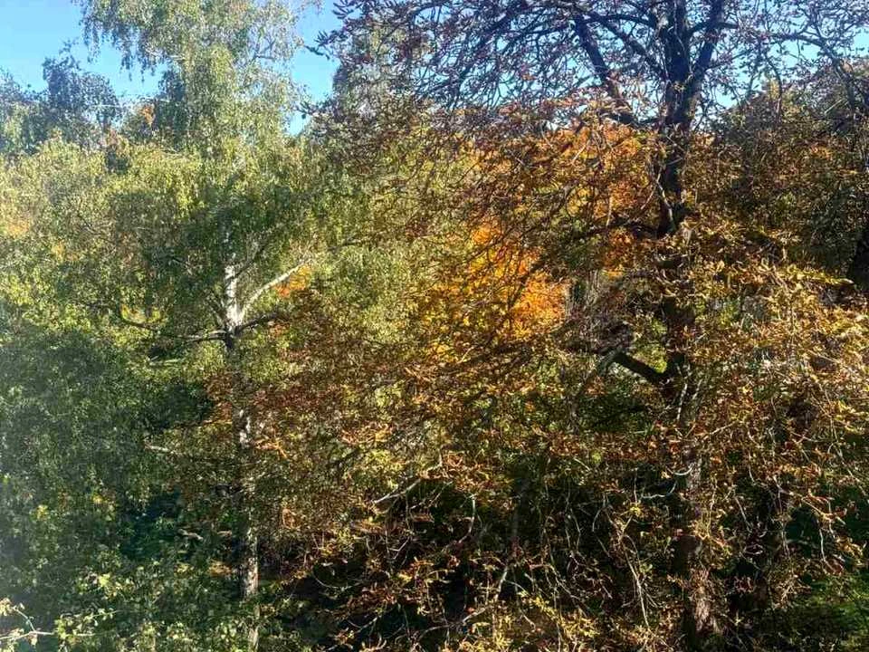 Квартира. Харків, Байрона просп.